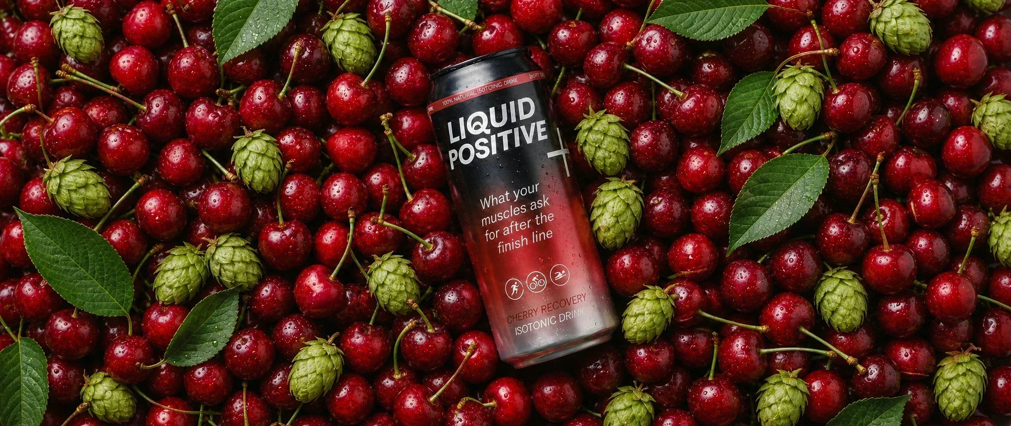 Sour Cherries + Hops: Why This Combination Is a Recovery Powerhouse