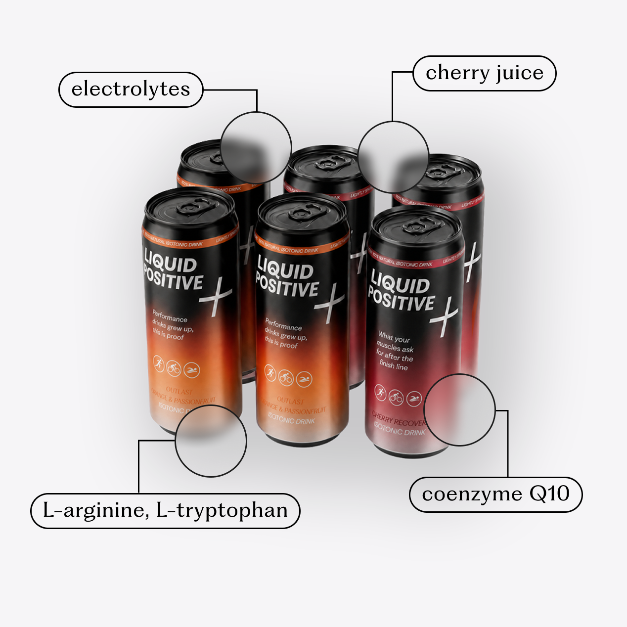 Isotonic Dual Recovery