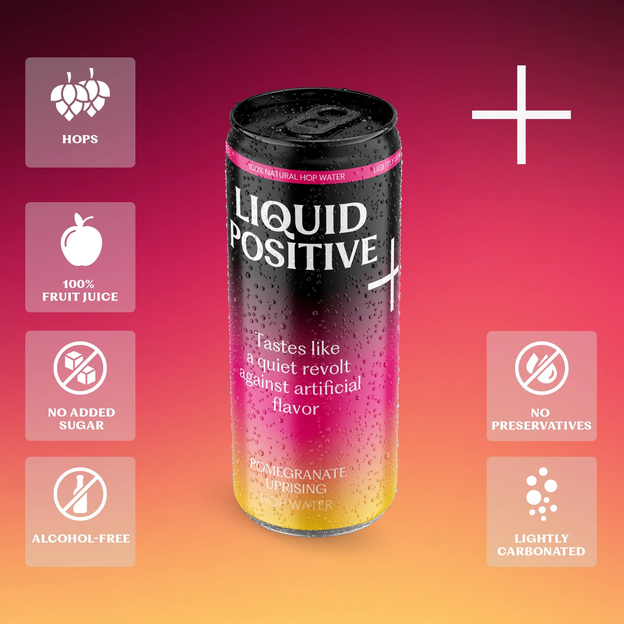 Pomegranate Uprising Hop Lemonade (330 ml)